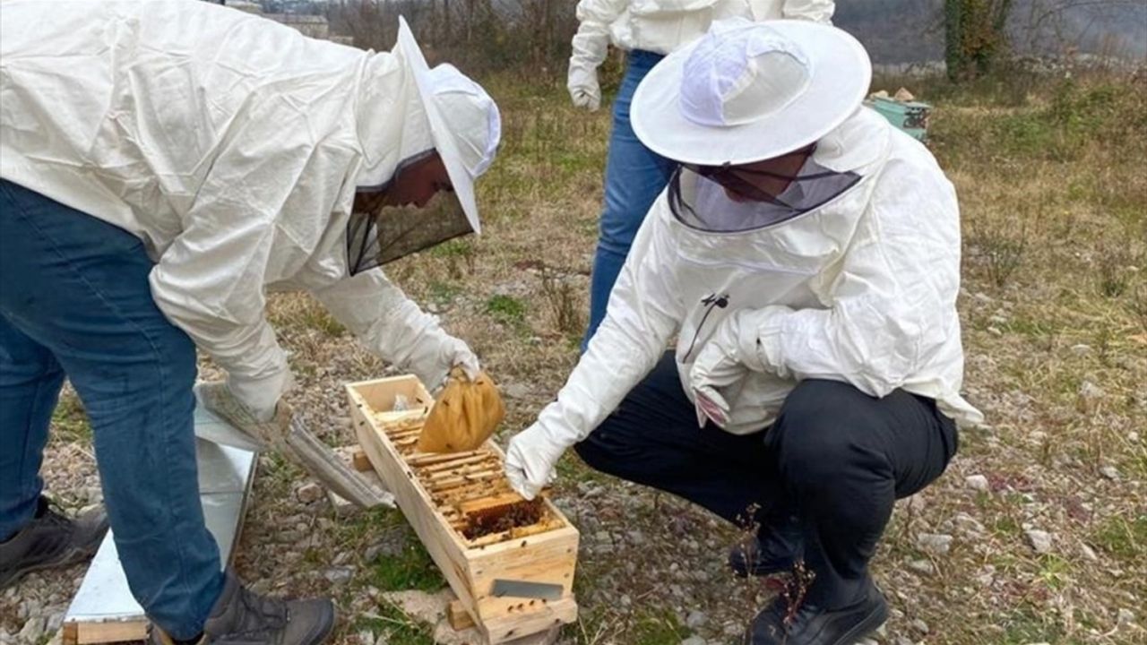Ordu'da arı ölümleri yaşanmaması için kovanlara yem takviyesi yapıldı