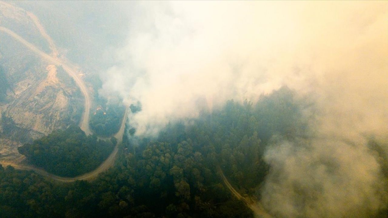 Arjantin'de orman yangınlarında 3 bin hektarlık alan kül oldu