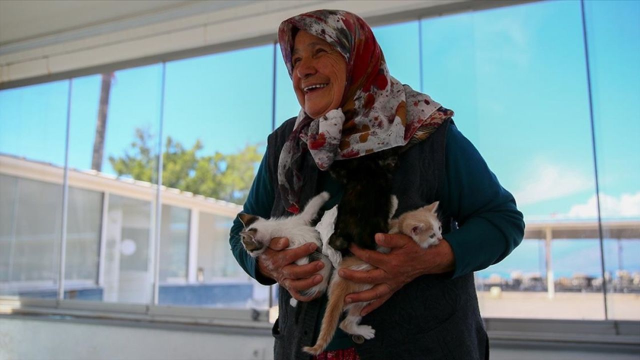 Hatay'da 70 yaşındaki kadın 17 yıldır sahipsiz kedilere bakıyor