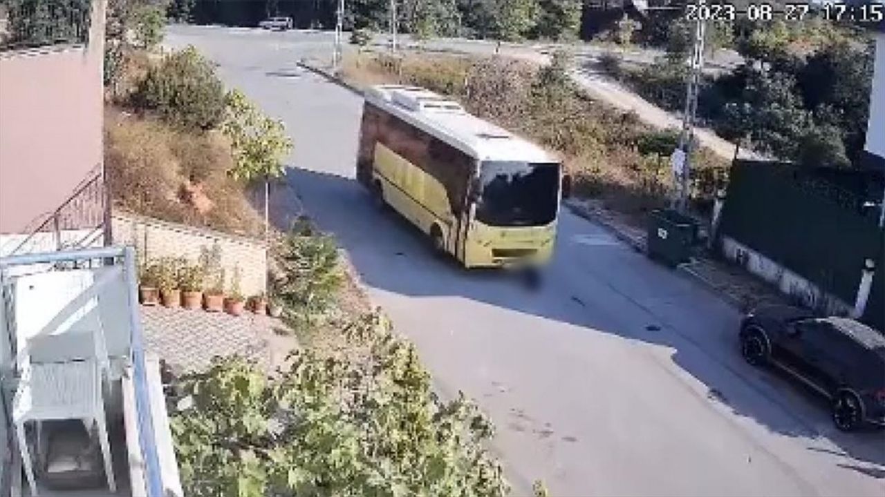 Tuzla'da halk otobüsünün yolda yatan köpeğe çarpması kameraya yansıdı