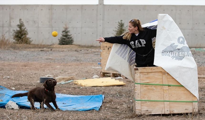 Zorlu eğitimlerden geçen köpekler arama kurtarma ekiplerinin pusulası oluyor